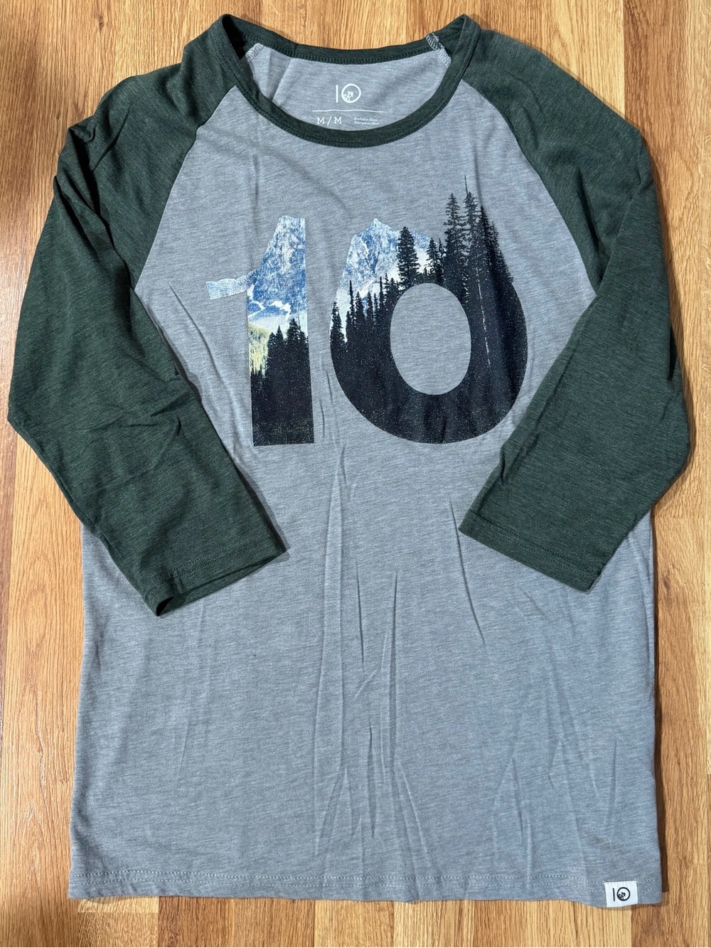 tentree Gray & Forest Green Raglan Long Sleeve Tee
